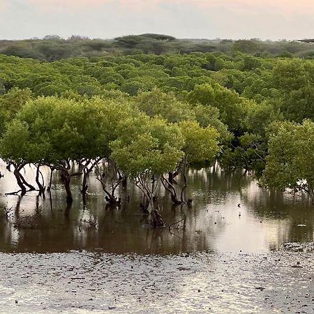 Mangrove House Hotel Lamu Kültér fotó