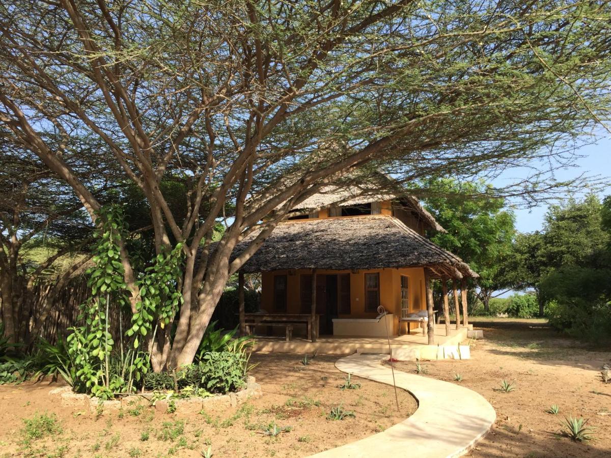 Mangrove House Hotel Lamu Kültér fotó