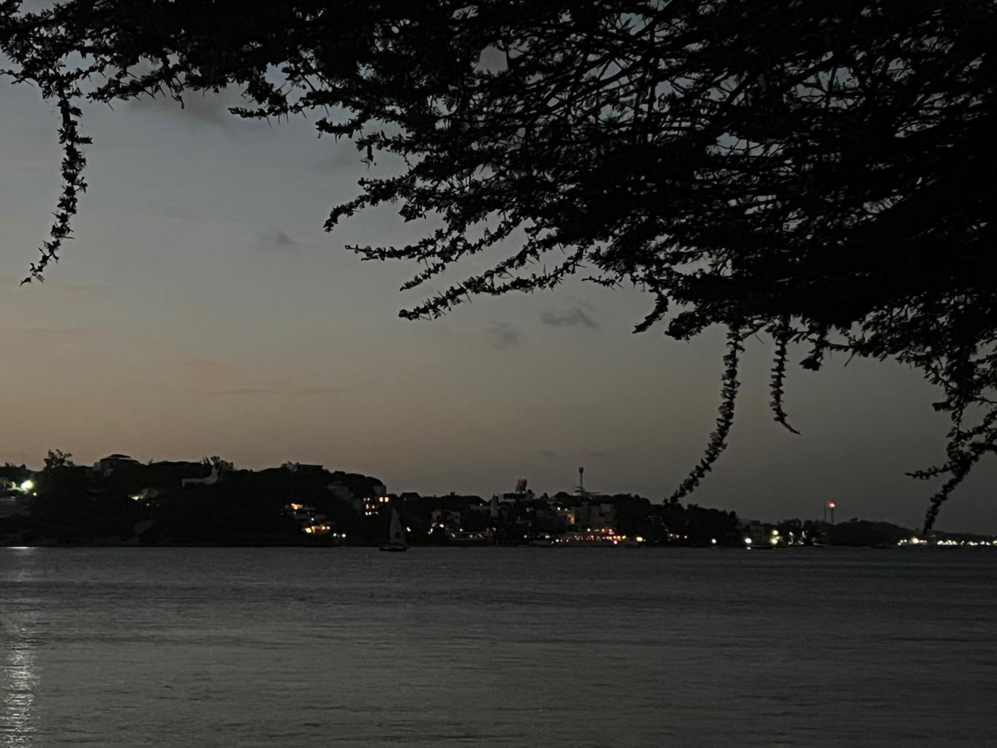 Mangrove House Hotel Lamu Kültér fotó
