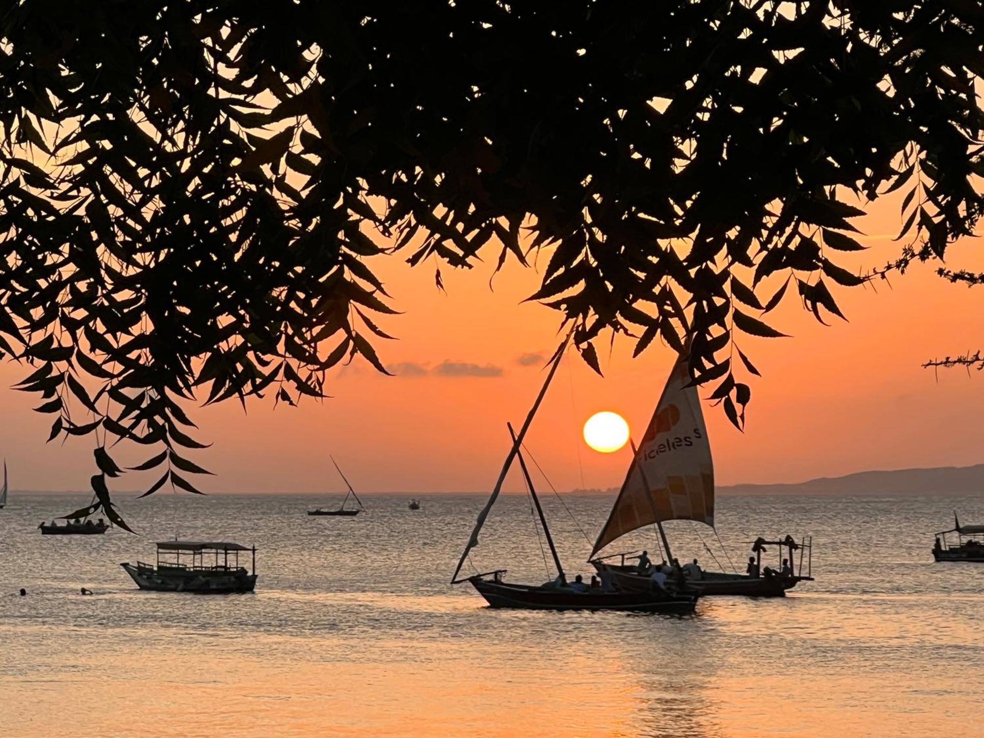Mangrove House Hotel Lamu Kültér fotó