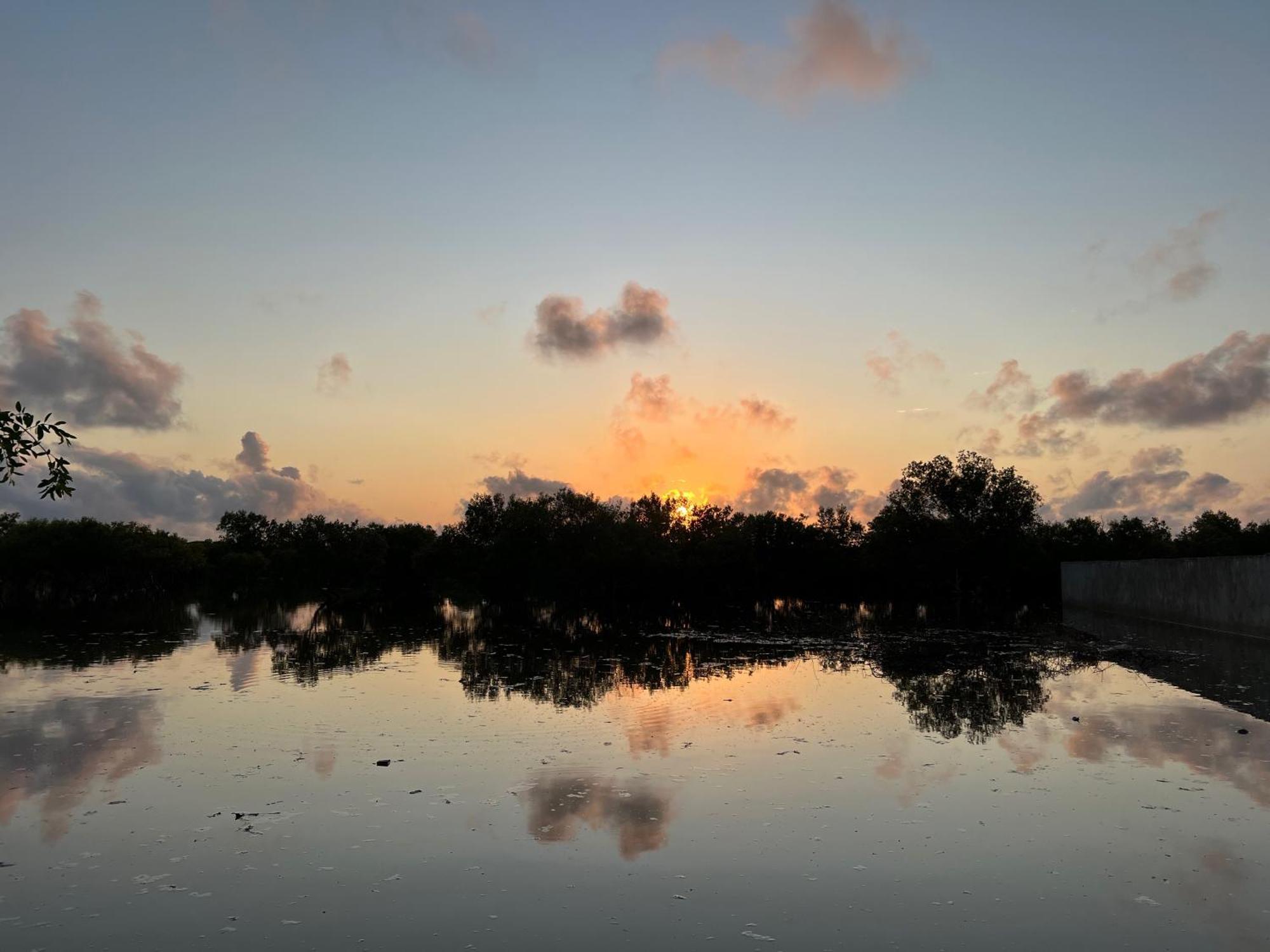 Mangrove House Hotel Lamu Kültér fotó